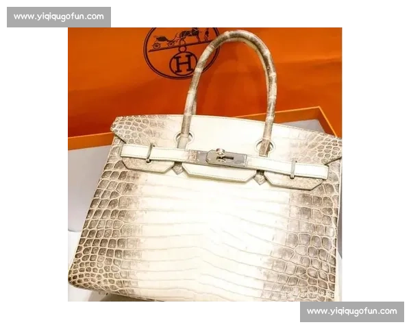 华贵铂金段独特魅力探秘 打造尊贵品质与时尚品味的完美结合